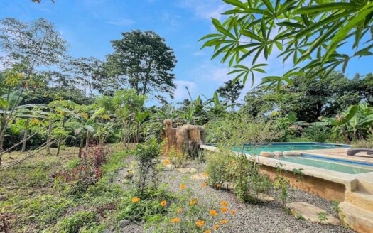 Aluna Java – Organic Farm in BriBri