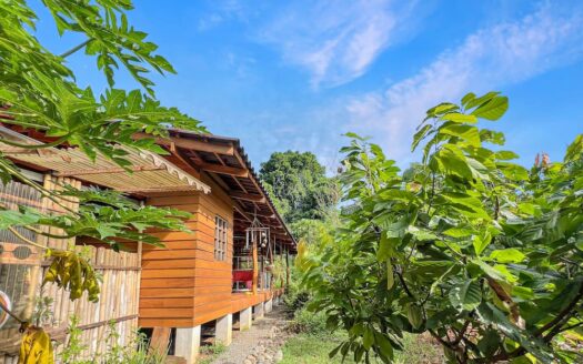 Aluna Java – Organic Farm in BriBri