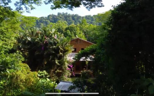 Aluna Java – Organic Farm in BriBri