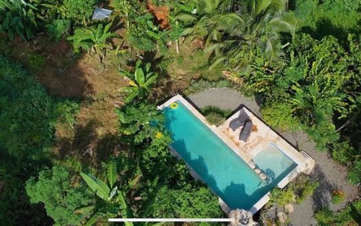 Aluna Java – Organic Farm in BriBri