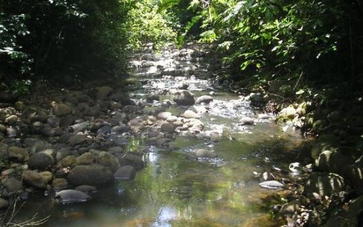 65 hectare dream land for sale!