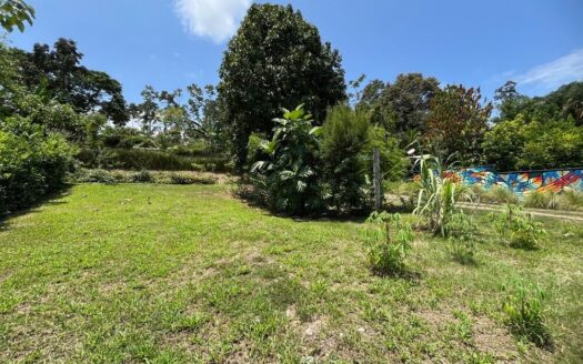 Mariposa Landing – Prime Cahuita Land