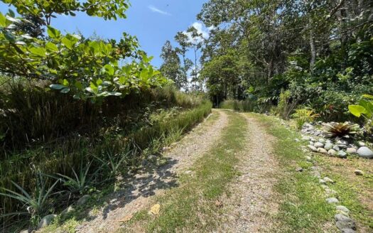 Mariposa Landing – Prime Cahuita Land