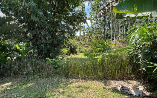 Mariposa Landing – Prime Cahuita Land