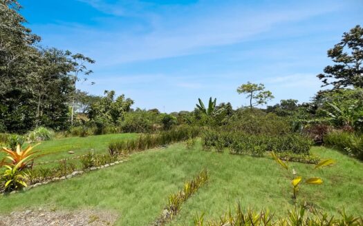 Mariposa Landing – Prime Cahuita Land