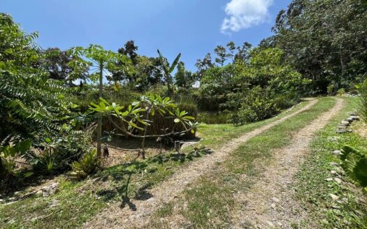 Mariposa Landing – Prime Cahuita Land