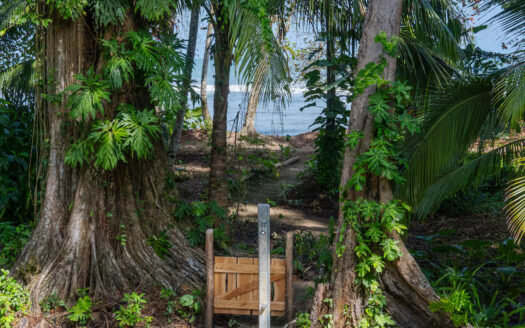 White Pearl – Casita 3