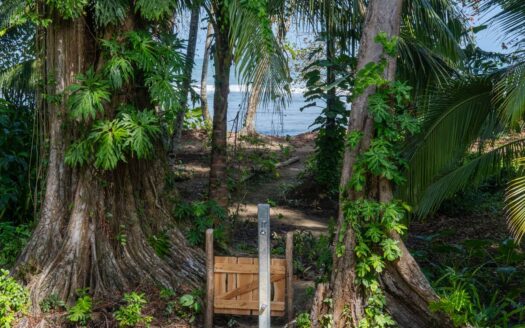 White Pearl – Casita 3