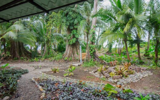 White Pearl – Casita 2