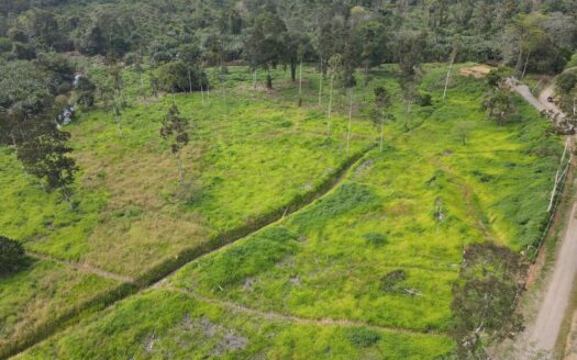 Rio Verde Estate – 11 hectare land opportunity in Carbon