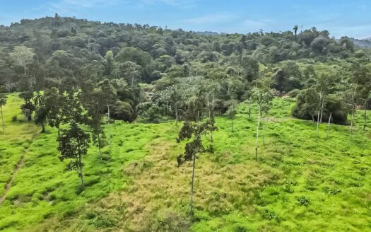 Rio Verde Estate – 11 hectare land opportunity in Carbon