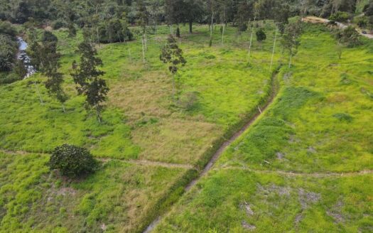 Rio Verde Estate – 11 hectare land opportunity in Carbon