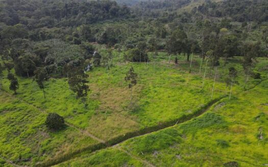 Rio Verde Estate – 11 hectare land opportunity in Carbon