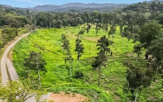 Rio Verde Estate – 11 hectare land opportunity in Carbon