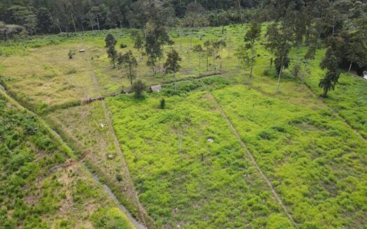 Rio Verde Estate – 11 hectare land opportunity in Carbon