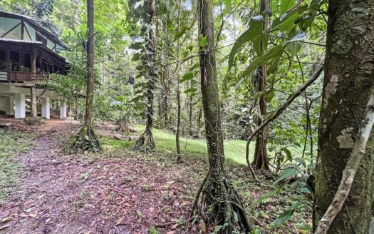 Manzanillo Green Retreat